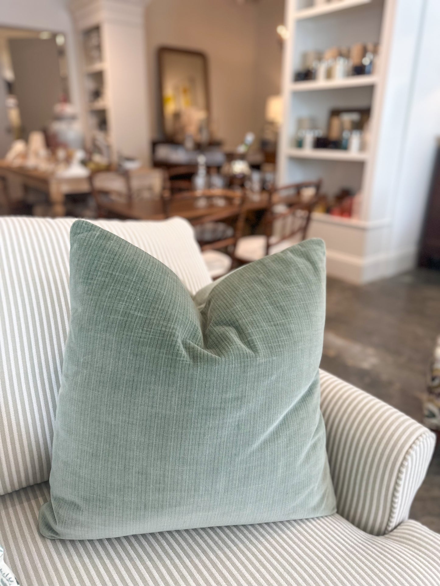 Martin Aloe Velvet Pillow