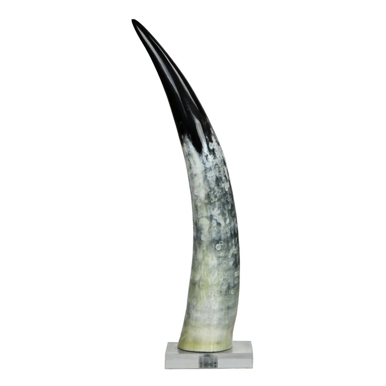 Black and White Cow Horn on Base - Small