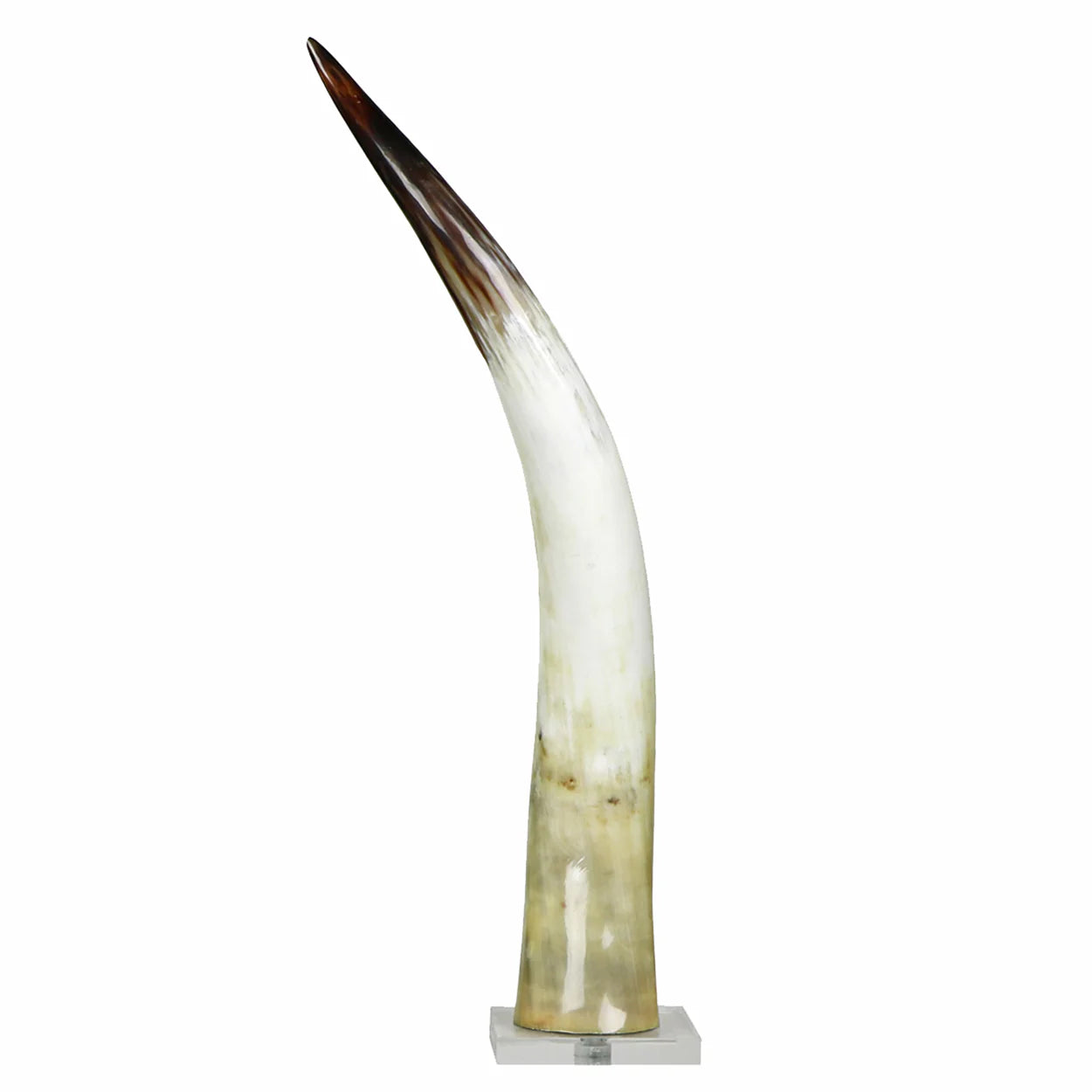 Black and White Cow Horn on Base - Medium