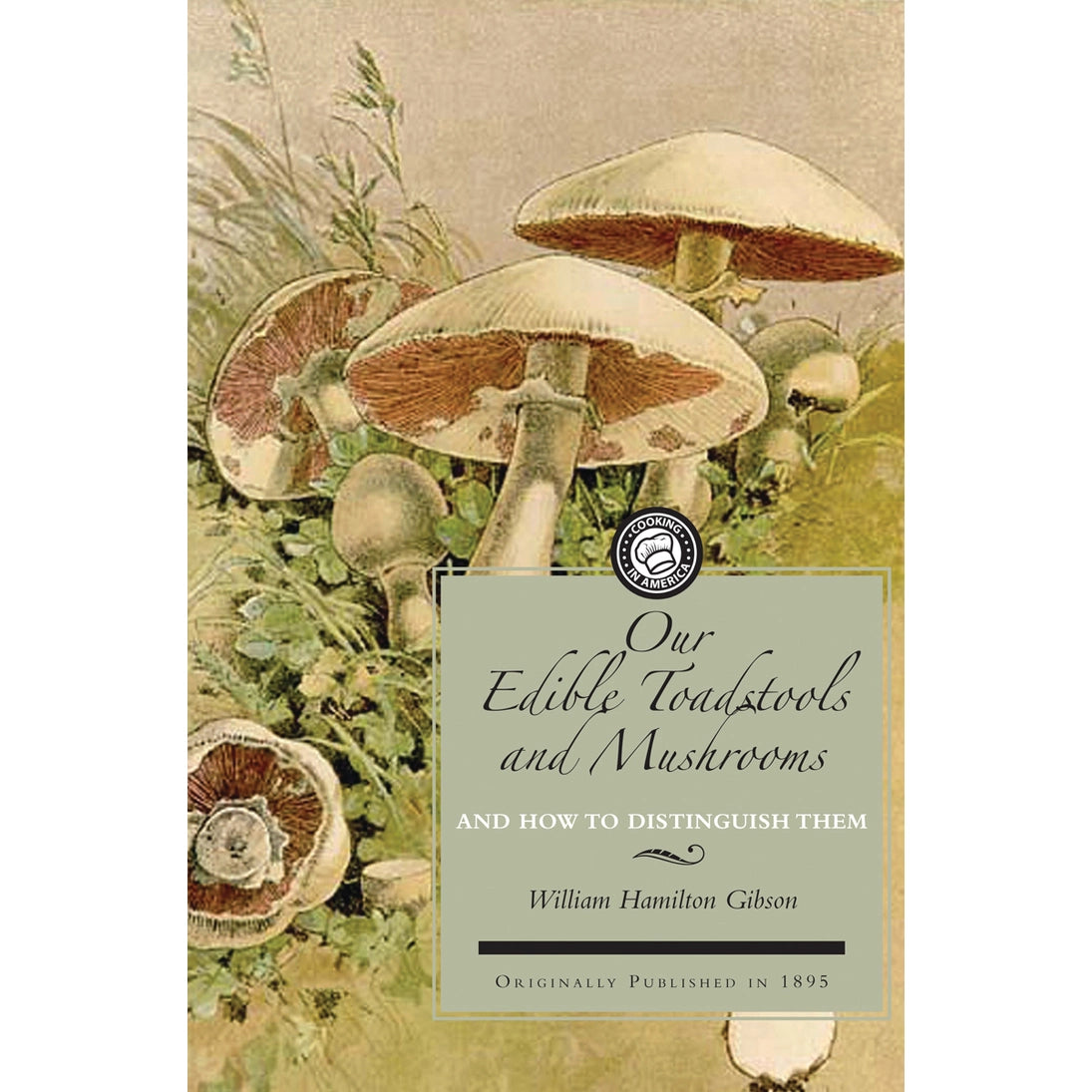 Our Edible Toadstools and Mushrooms