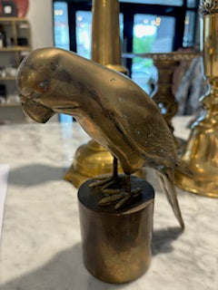 Brass Parrot