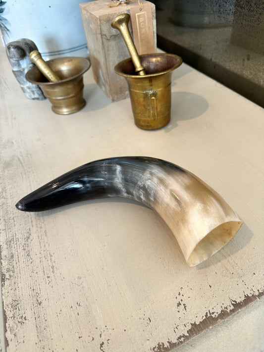 Small Cow Horn