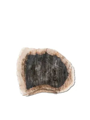 Petrified  Wood Sidetable