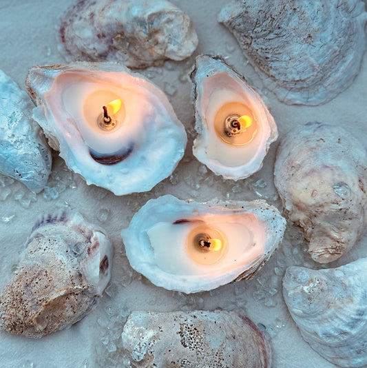 Oyster Candle Gift Set